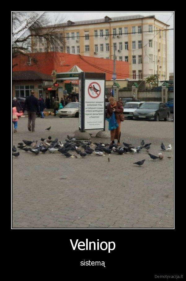 sistema,balandziai,moteris