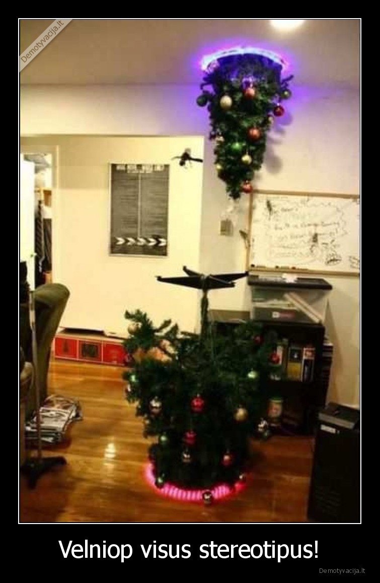 stereotipai,velniop,eglute