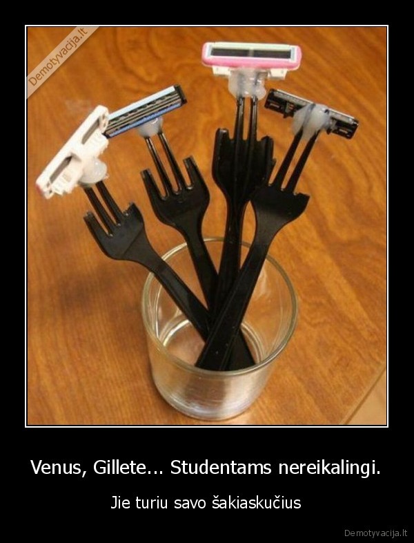 Venus, Gillete... Studentams nereikalingi.