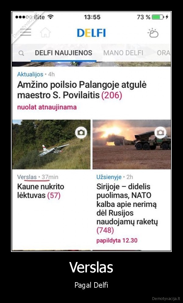 delfi,verslas,lektuvo, avarija