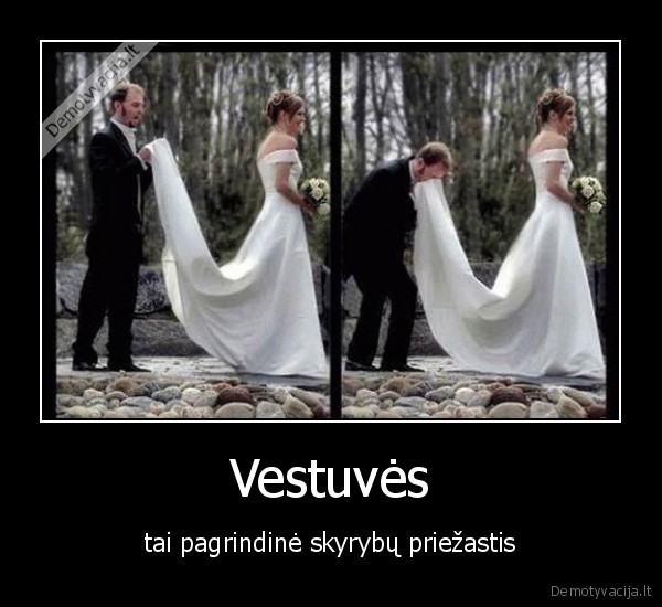 priezastis,vestuves,skyrybos