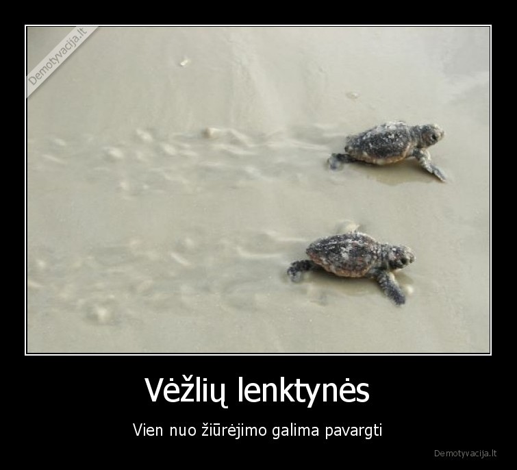 vezliai,lenktynes,nuovargis,pavargti