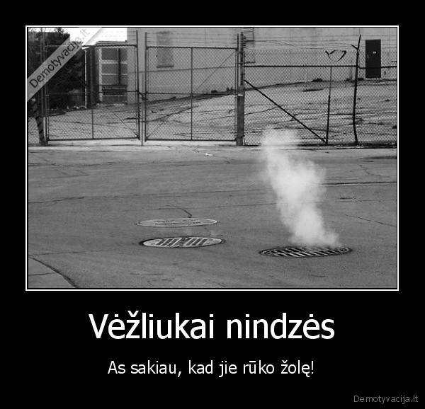 Vėžliukai nindzės