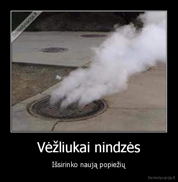 popieziaus, rinkimai,balti, dumai