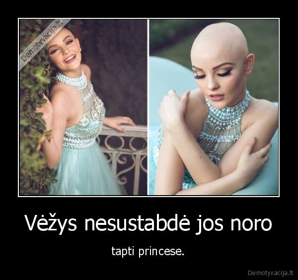 vezys,mergina,noras,princese