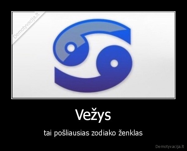 Vežys