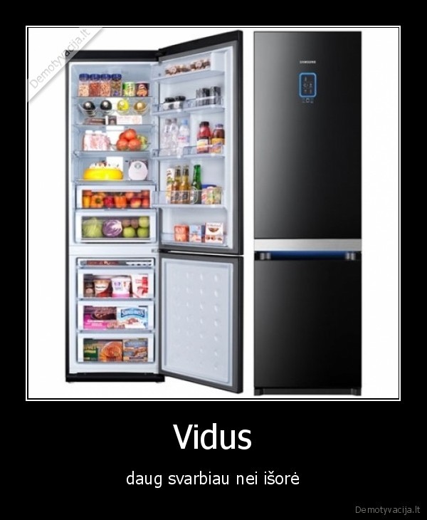 saldytuvas,vidus,svarbiau