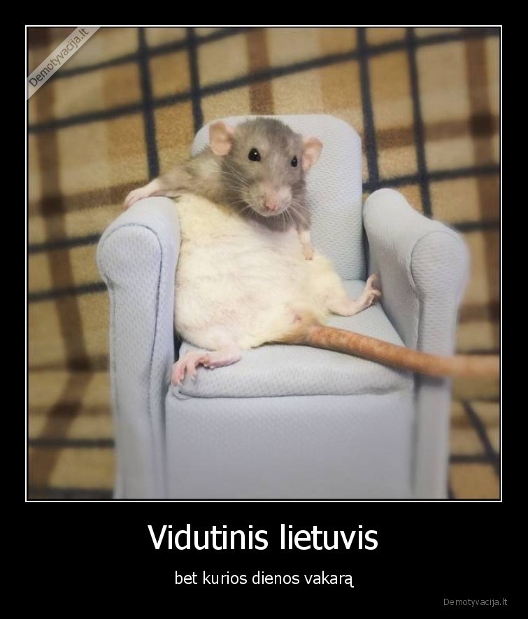vidutinis,lietuvis,pele,sedi,sofa