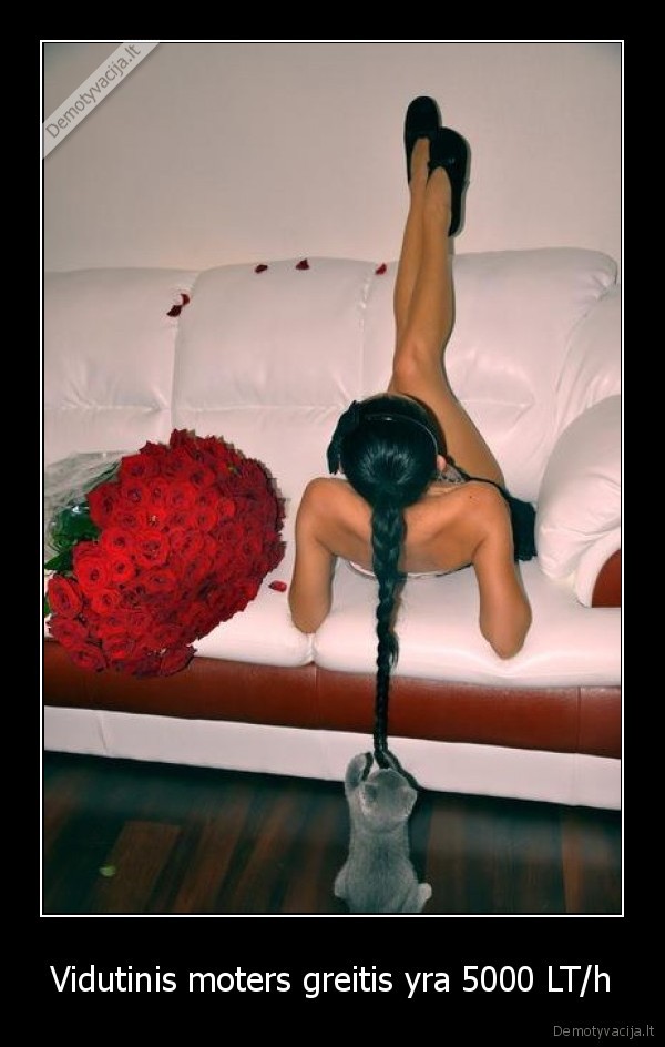 Vidutinis moters greitis yra 5000 LT/h