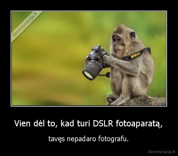 fotografija,fotoaparatas,dslr