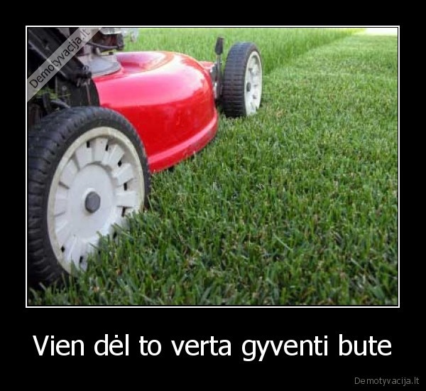 nekenciu,zoles,pjovimo