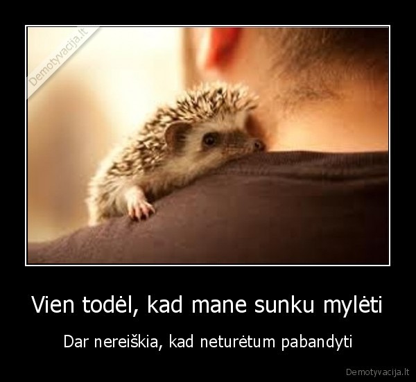 apsikabinimas, su, eziuku,meile, eziukui,skaudi, meile