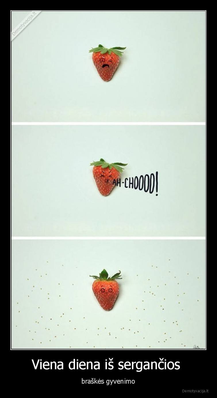 braske,serga,ciaudi,komiksas