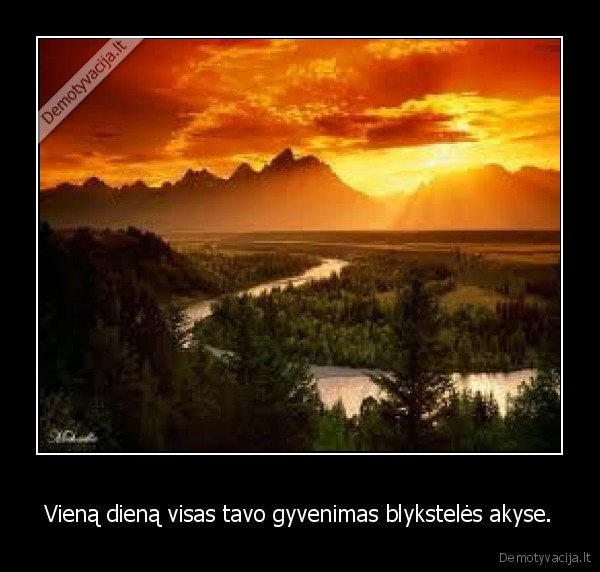 Vieną dieną visas tavo gyvenimas blykstelės akyse.