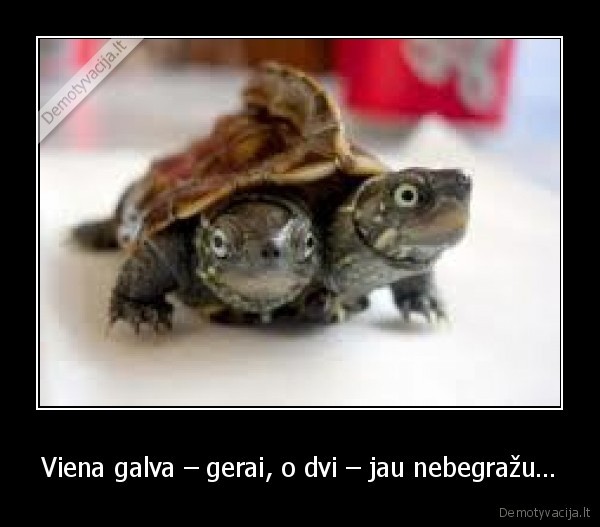 Viena galva – gerai, o dvi – jau nebegražu…