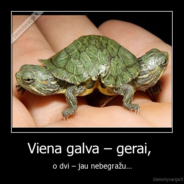 Viena galva – gerai, 