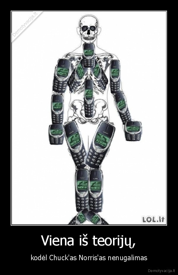 Viena iš teorijų,