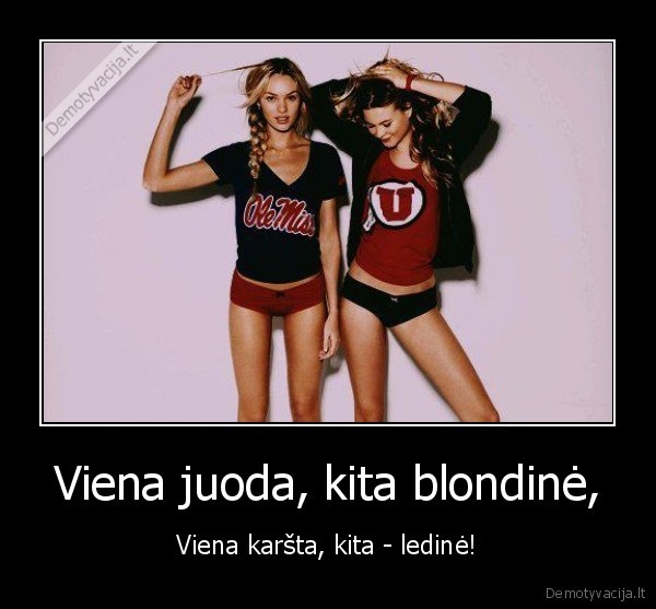 Viena juoda, kita blondinė,