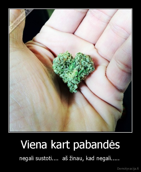 Viena kart pabandės