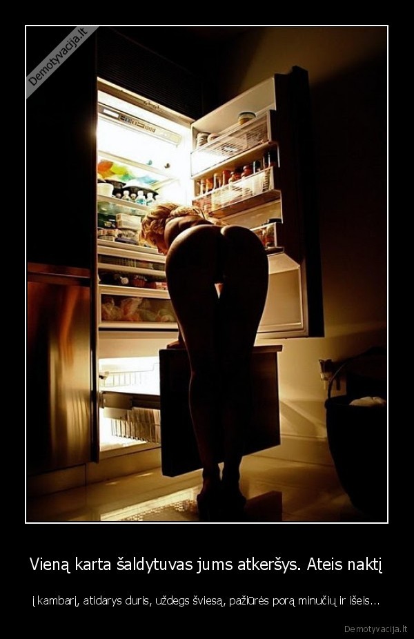 saldytuvo, kerstas,kerstingas, saldytuvas