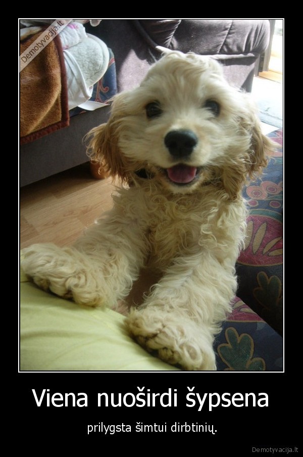 Viena nuoširdi šypsena