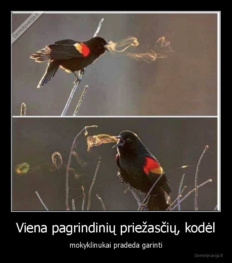 vape,garai,elektronke