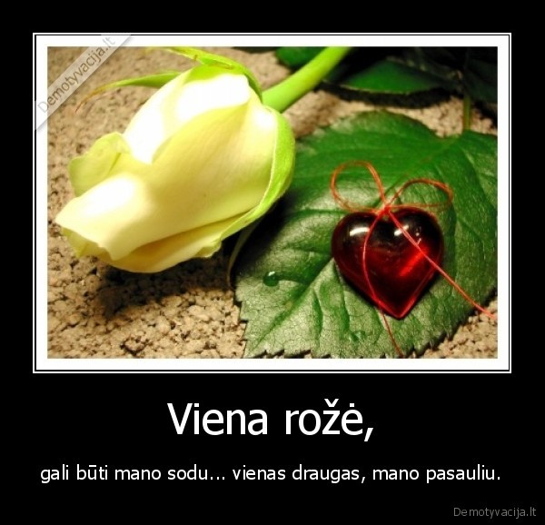 Viena rožė,