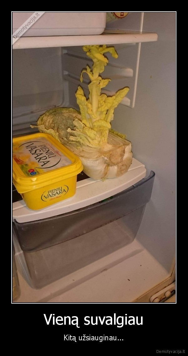 maistas,jaunyste,kopustas