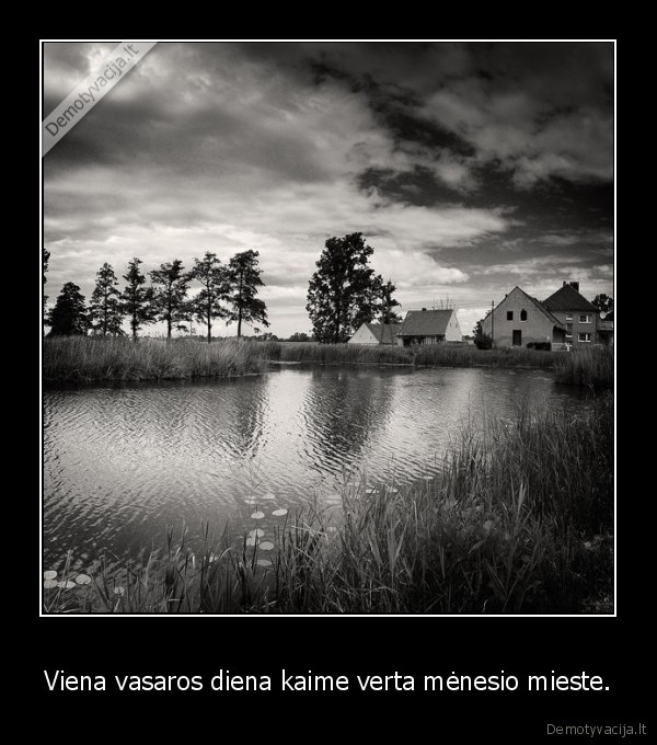 kaimas,atostogas,vasara