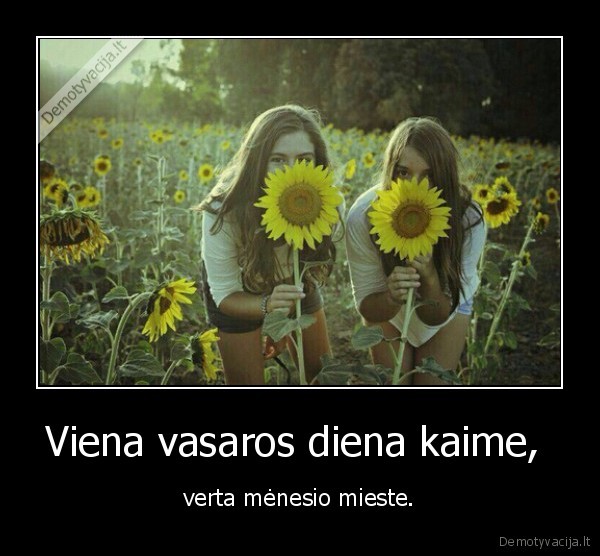 Viena vasaros diena kaime, 