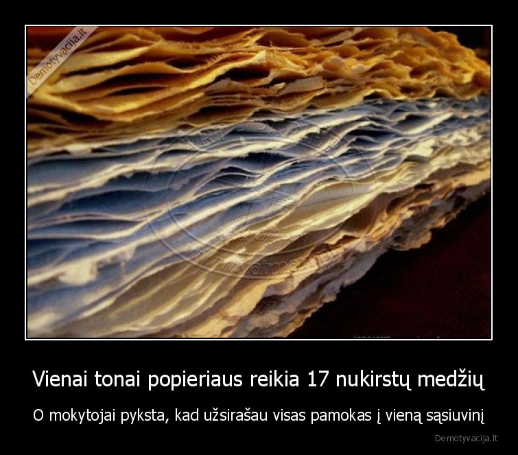 ekologija,medziai,mokykla