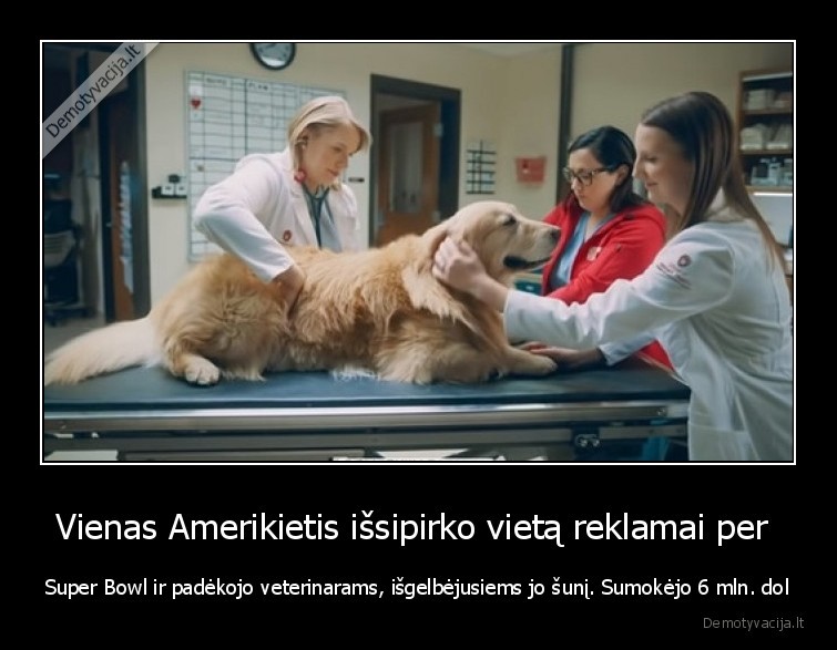 padeka,reklama,super, bowl,veterinarai