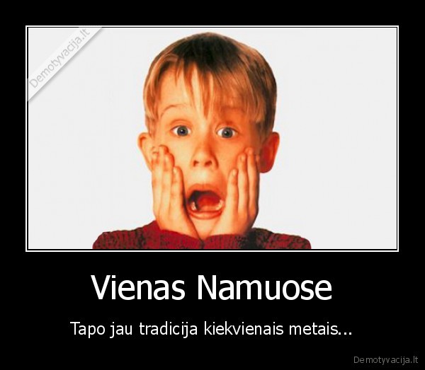 Vienas Namuose