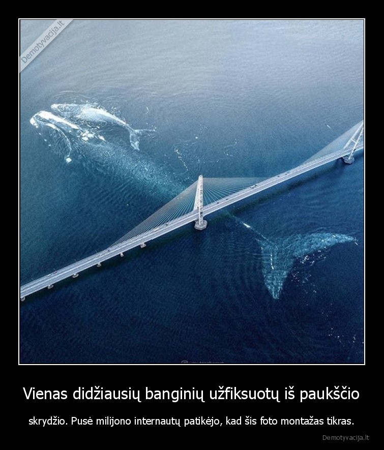 banginis,photoshop,montazas