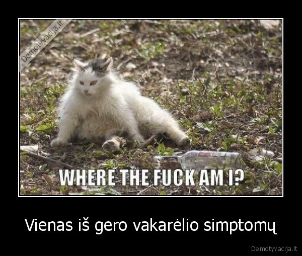 girtadienis,gatov, mode, on,bum, bum