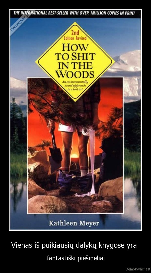 Vienas iš puikiausių dalykų knygose yra 