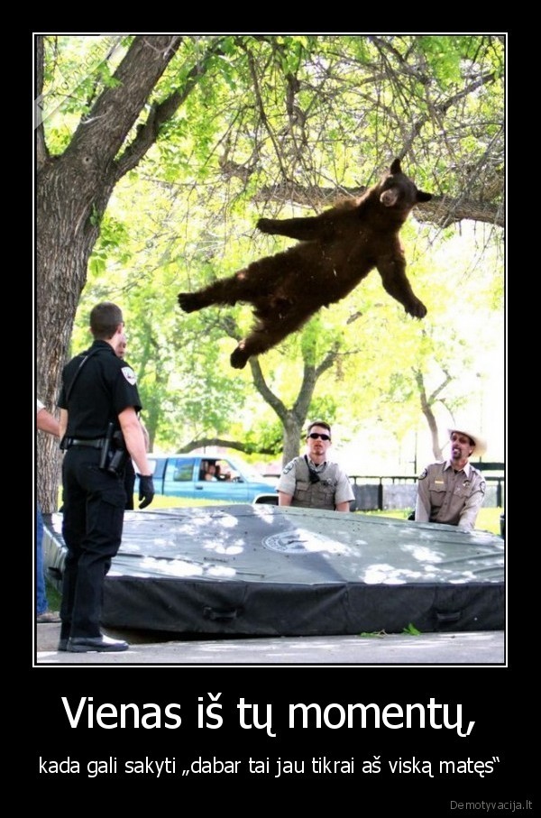 Vienas iš tų momentų,