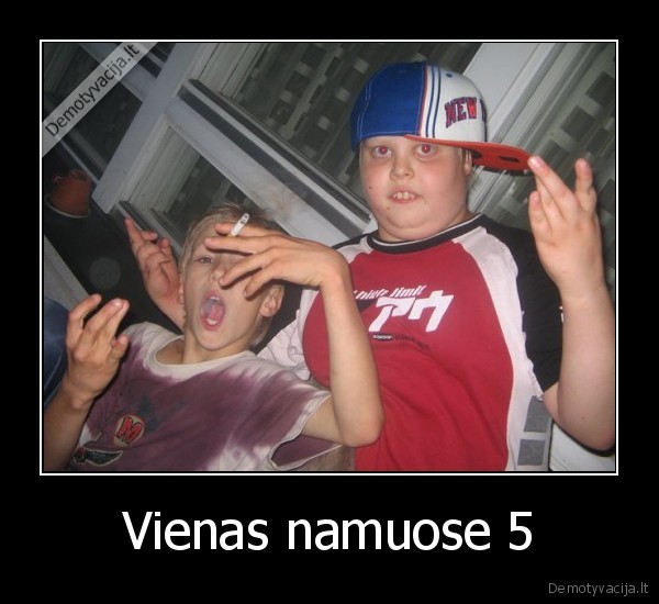 Vienas namuose 5