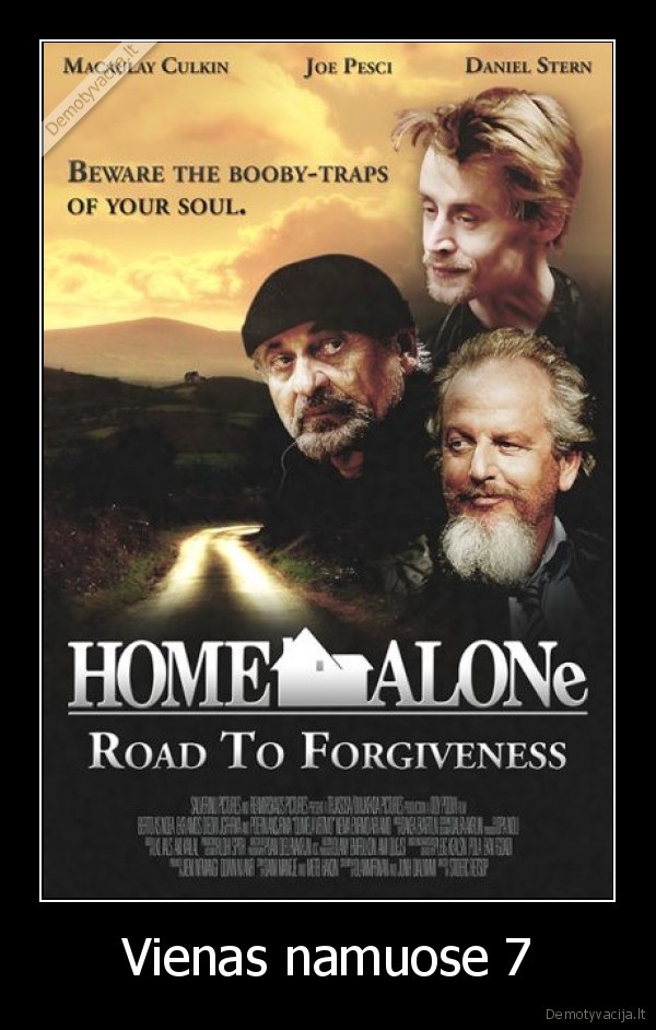 vienas, namuose,home, alone