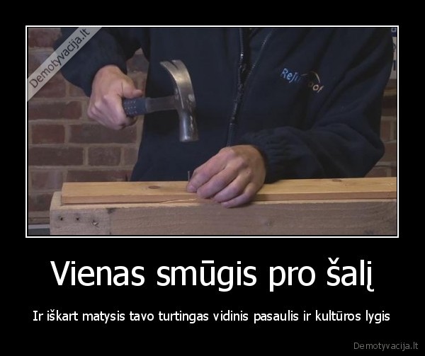 smugis, plaktuku,keiksmazodziai,kala, vini