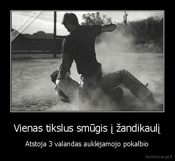 Vienas tikslus smūgis į žandikaulį