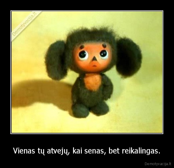 Vienas tų atvejų, kai senas, bet reikalingas.