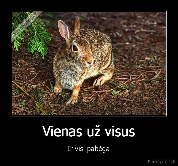 vienas,uz,visus,ir,visi,pabega