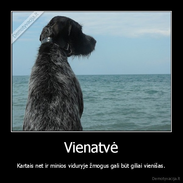 vienatve