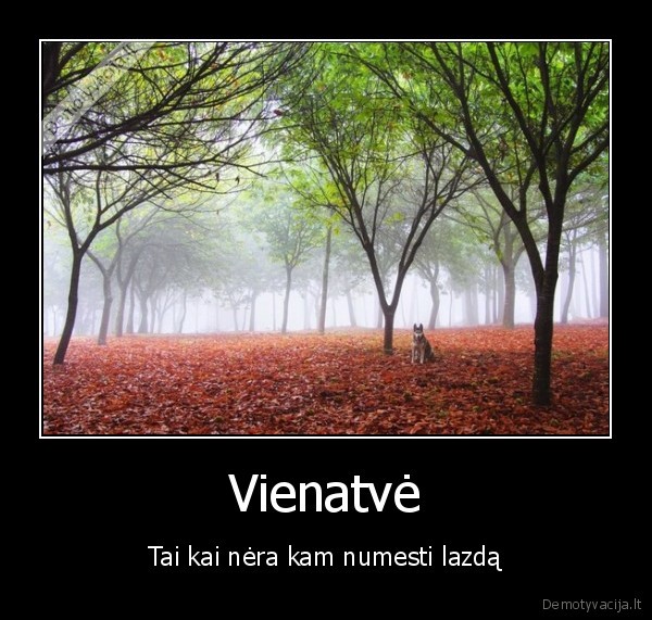 vienatve,vienisas, suo,liudnas, suo