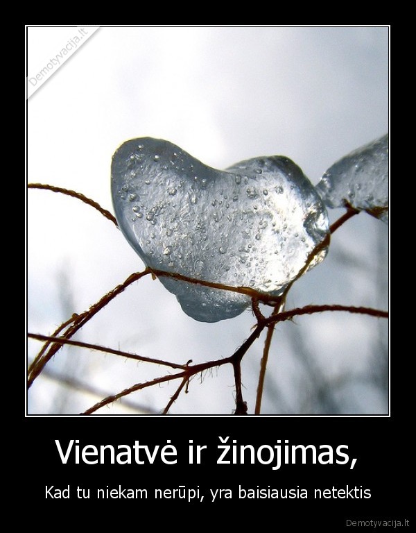 Vienatvė ir žinojimas,