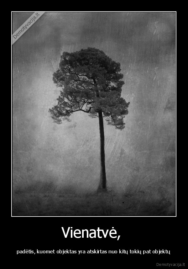 Vienatvė, 