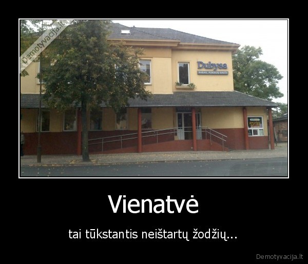 Vienatvė