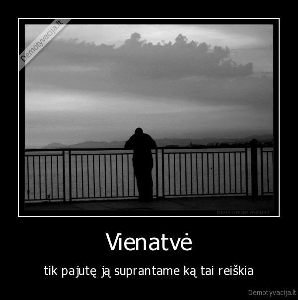 vienatve