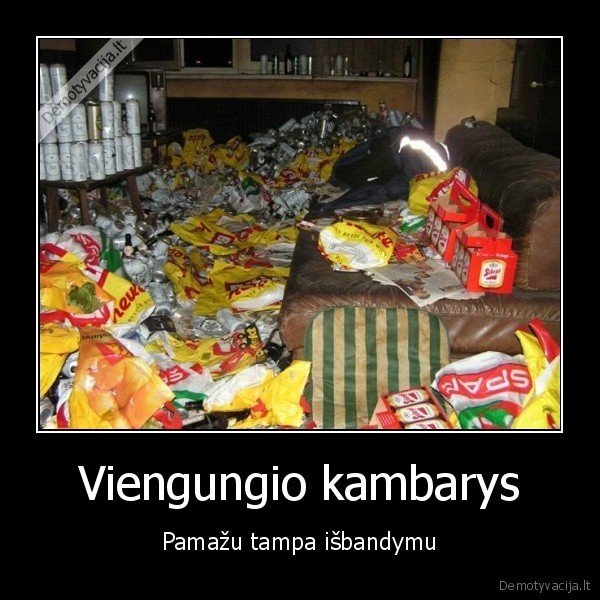 Viengungio kambarys